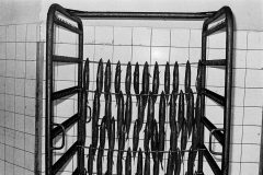 Film-868-Fischkaefigweb