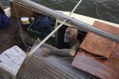 HEIMATEN Mutterschiff