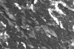 Sana Ahmadizadeh (Ahvaz, Iran), from the project The Pieces, 2020-ongoing